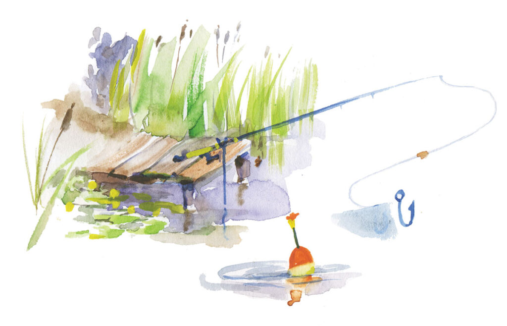 fishing illustration