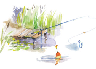 fishing illustration