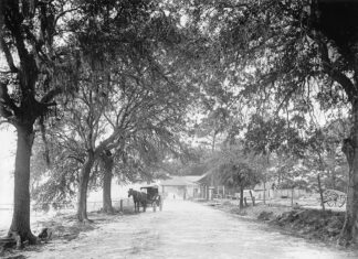 Ask McGehee: What is the history of the lost waterfront resort Frascati?