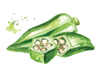 The Care and Feeding of Pickled Okra