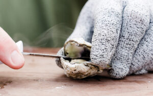 Hand shucking a roasted oyster