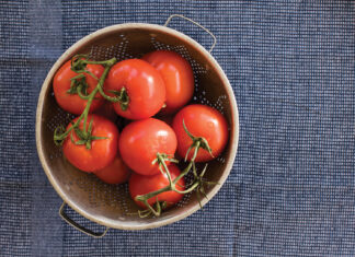 The John Kitch Tomato