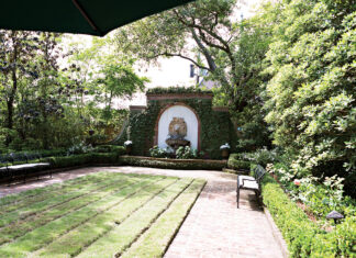 Stroll Through 4 Incredible Local Gardens