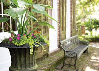 Stroll Through 4 Incredible Local Gardens