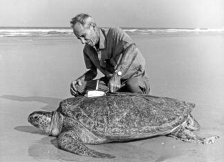 The Amazing Life of Archie Carr