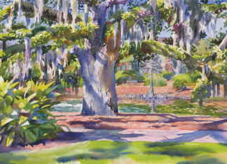 Waters’ Color Journey