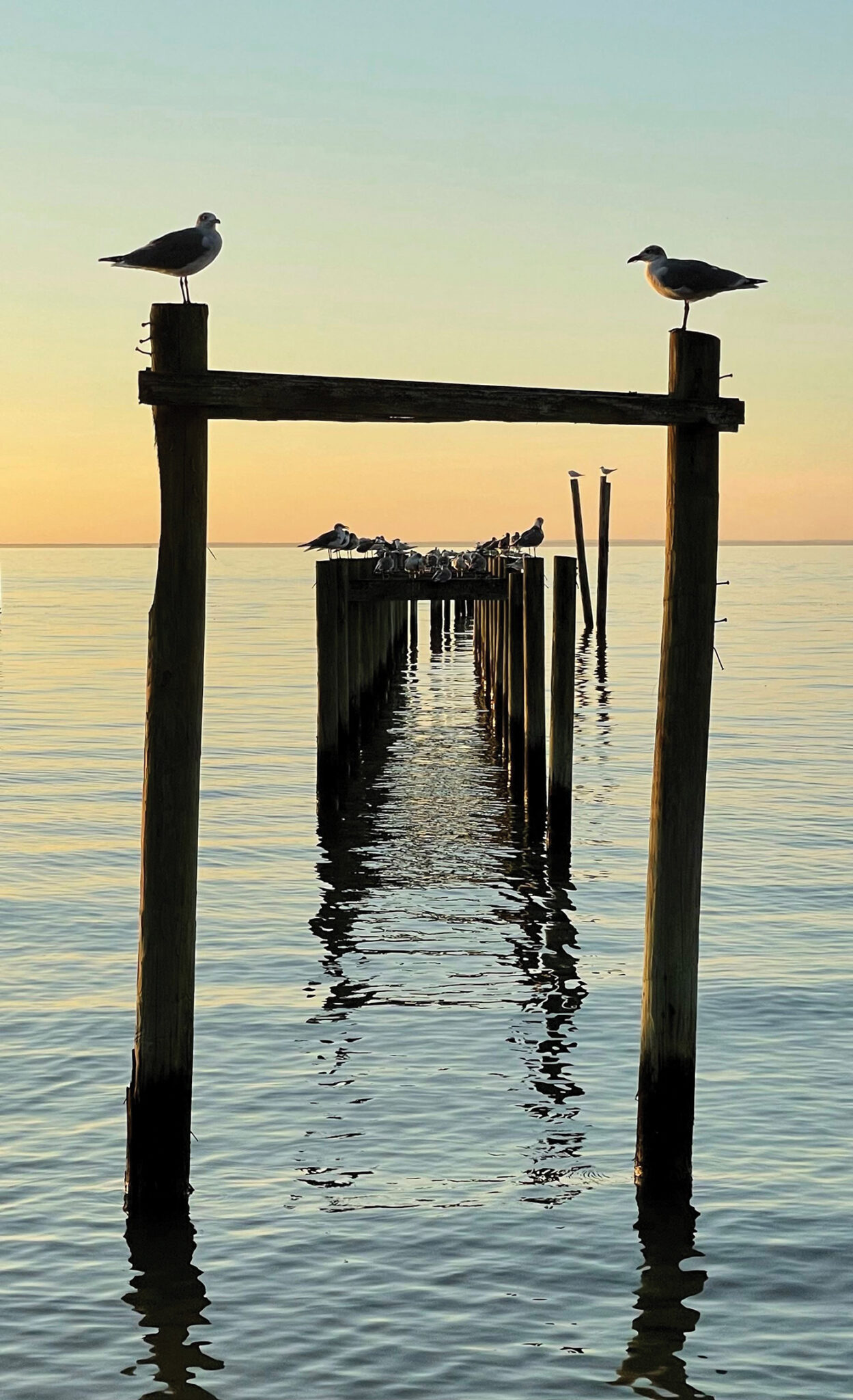 Sunset picture taken near the Fairhope Pier