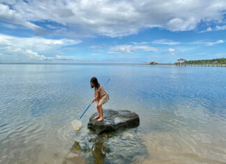 MBM’s Best of Mobile Bay Photo Contest Winners 2022