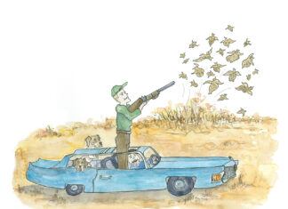 The Cadillac Quail Dogs