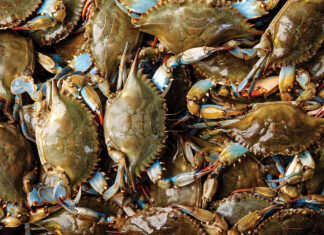 Mobile Bay’s Top 25 Photos of 2022