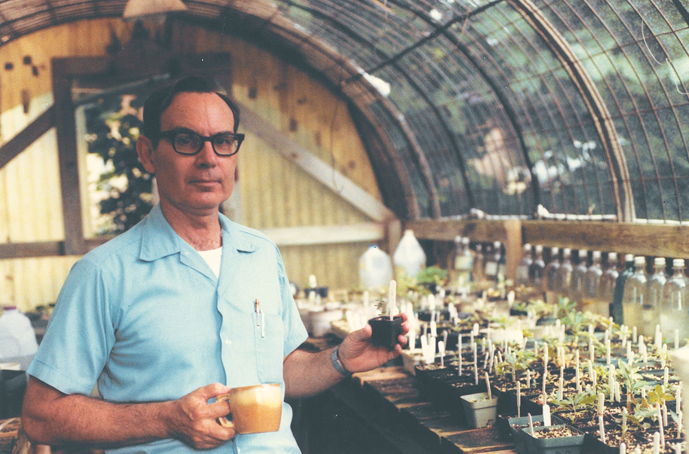 Vintage photograph of Dr. Eugene John Aromi in a greenhouse surrounded by flower seeds 