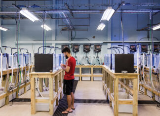 A Deeper Understanding on the Gulf Coast