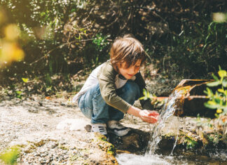 Kids Can Save the Bay