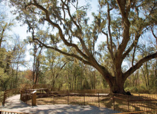 Catch a Moment In Nature