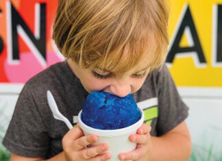 Take a Snowball Tour of the Bay