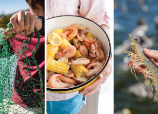 Pulling a Shrimp Trawl