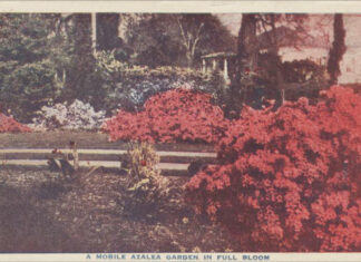 A Garden Built to Last