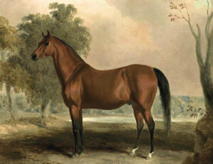 a horse painting by Edward Troye