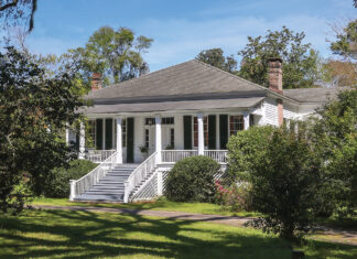 Chronicles from Shell Cottage