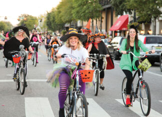 Top 10 Things To Do in October