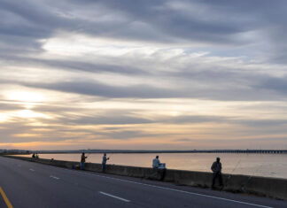 The Causeway Fishing Chronicles