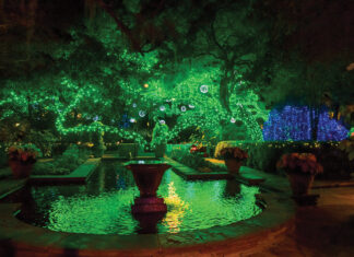 Top 10 Things To Do in December