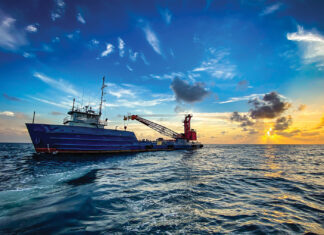 Mobile Bay’s Top 25 Photos of 2024