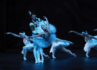 Top 10 Things To Do in January