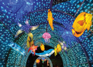 Top 10 Things to Do in June 2025