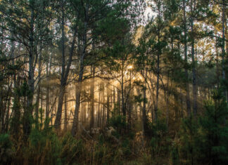 14 Parks and Trails to Explore this Fall