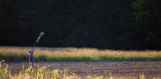 Man shooting in a field on a dove hunt