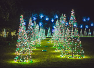 Top 20 Things to Do in December 2025