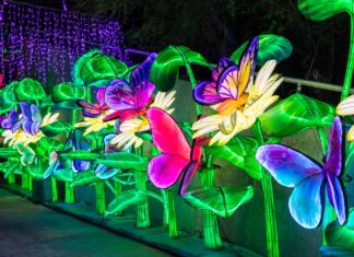 Top 10 Things To Do in May 2026