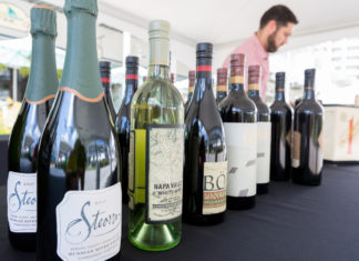 Fall Festival Preview 2018