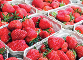 Top 10 Things to Do in April