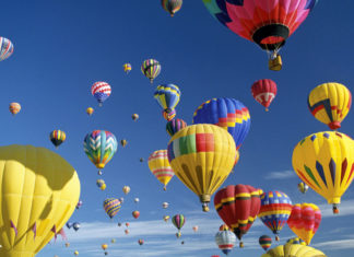 Top 10 Things to Do in May