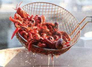 Top 10 Things to Do in June