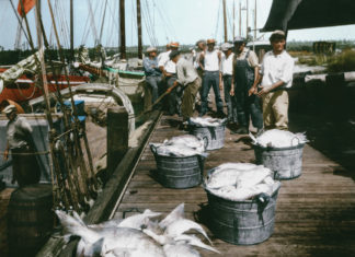 Star Fish and Oyster Company, 1920