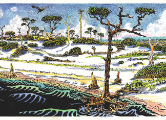 The Largest and Most Commodious Bay