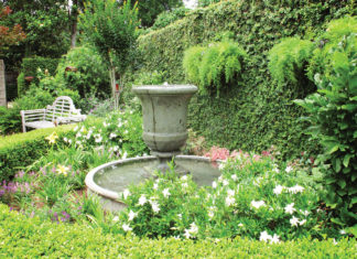 3 Garden Ideas to Love