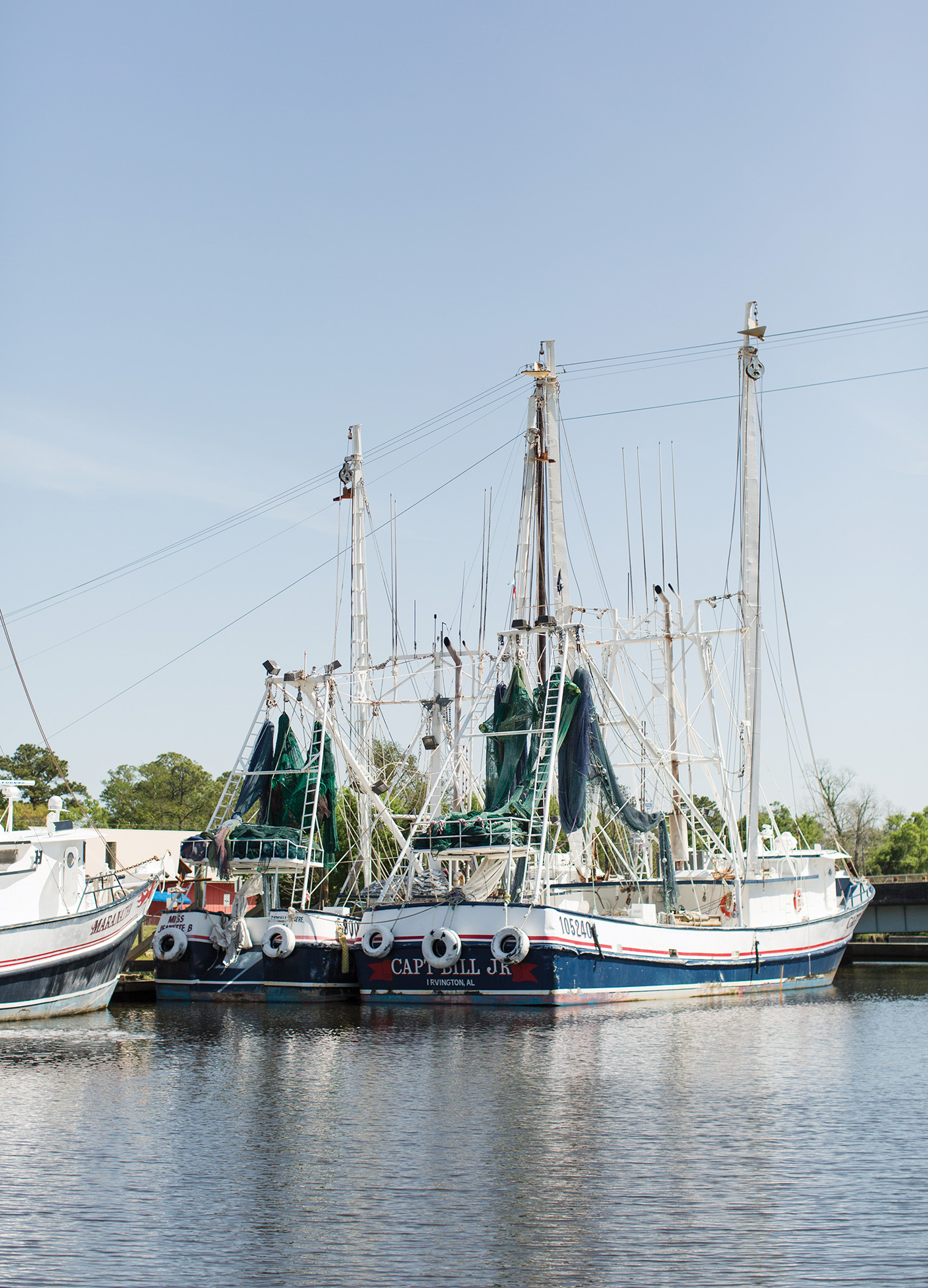 Shrimpin' the Bayou
