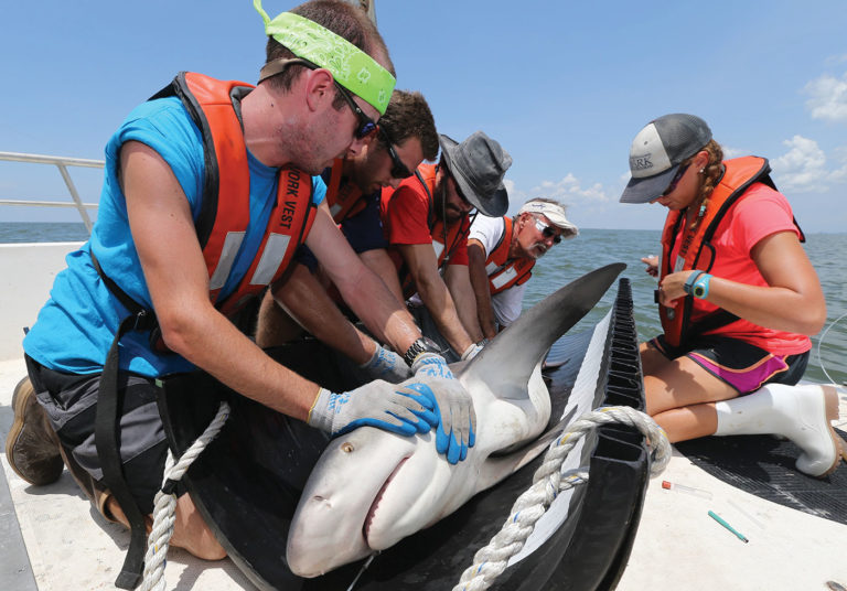 50 Years of the Dauphin Island Sea Lab