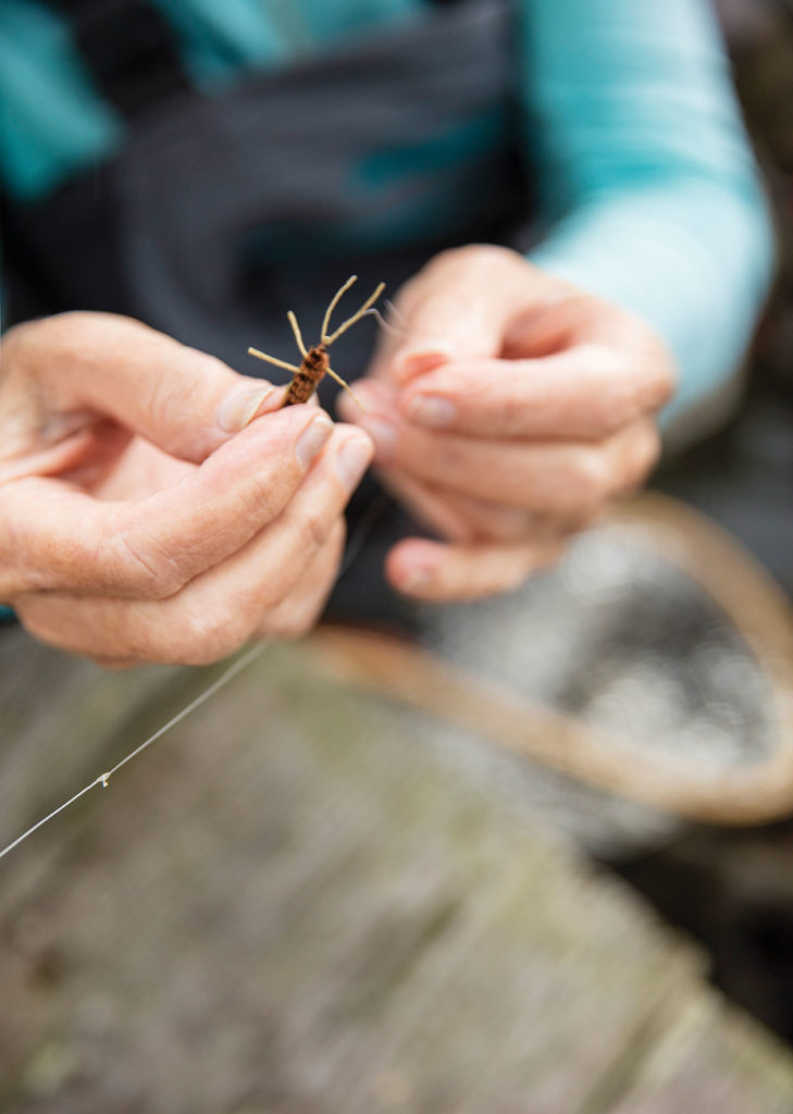 Fly Fish Chicks